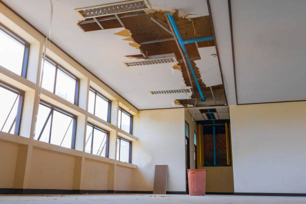 Best Water damage restoration near me  in Azalea Park, FL