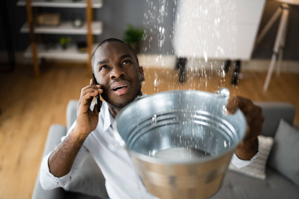 Best Basement water damage restoration  in Azalea Park, FL