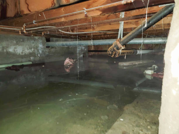 Best Fire Damage Restoration  in Azalea Park, FL