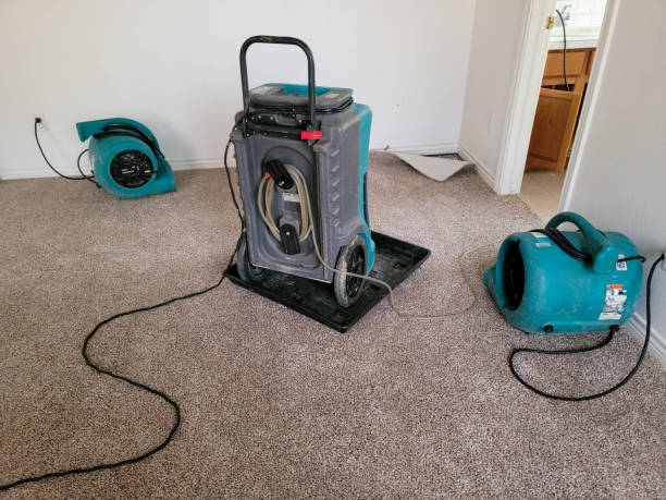 Best Water damage restoration near me  in Azalea Park, FL