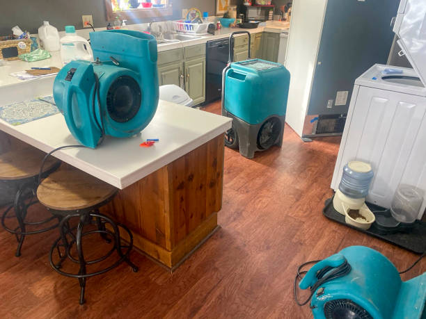 Best Commercial water damage restoration  in Azalea Park, FL