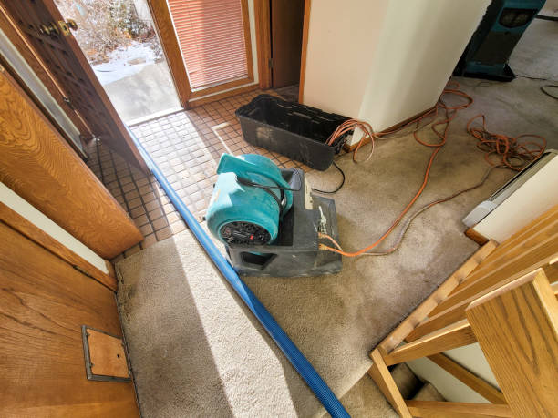Best Flood restoration services  in Azalea Park, FL