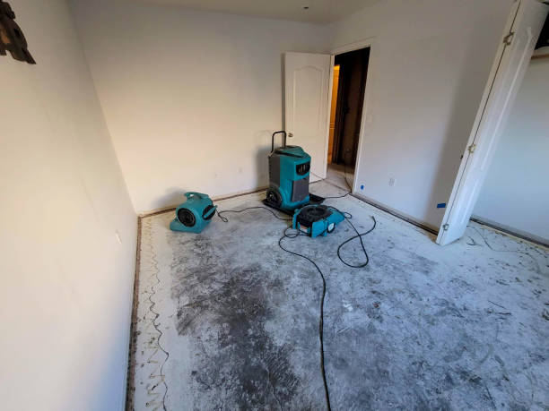 Best Residential water damage restoration  in Azalea Park, FL