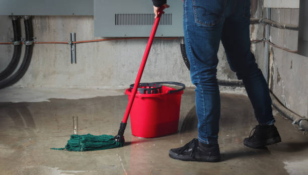 Best Carpet water damage restoration  in Azalea Park, FL
