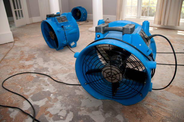Best Water damage restoration services  in Azalea Park, FL