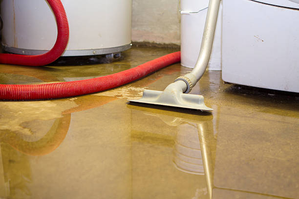 Best Water damage contractors near me  in Azalea Park, FL