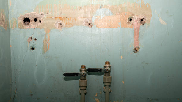 Best Water damage restoration near me  in Azalea Park, FL