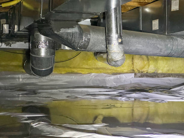 Best Water damage restoration services  in Azalea Park, FL