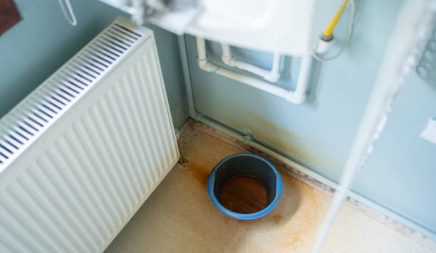 Best 24/7 water damage repair  in Azalea Park, FL