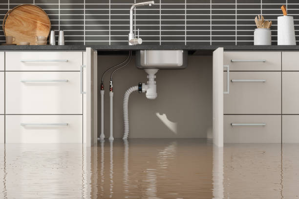 Best Sewage cleanup and water damage restoration  in Azalea Park, FL
