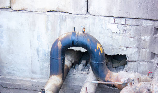 Best Flood restoration services  in Azalea Park, FL