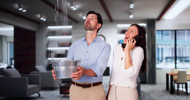 Best Basement water damage restoration  in Azalea Park, FL